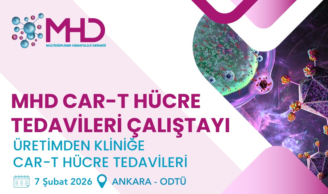 ZIP dosyasını indir